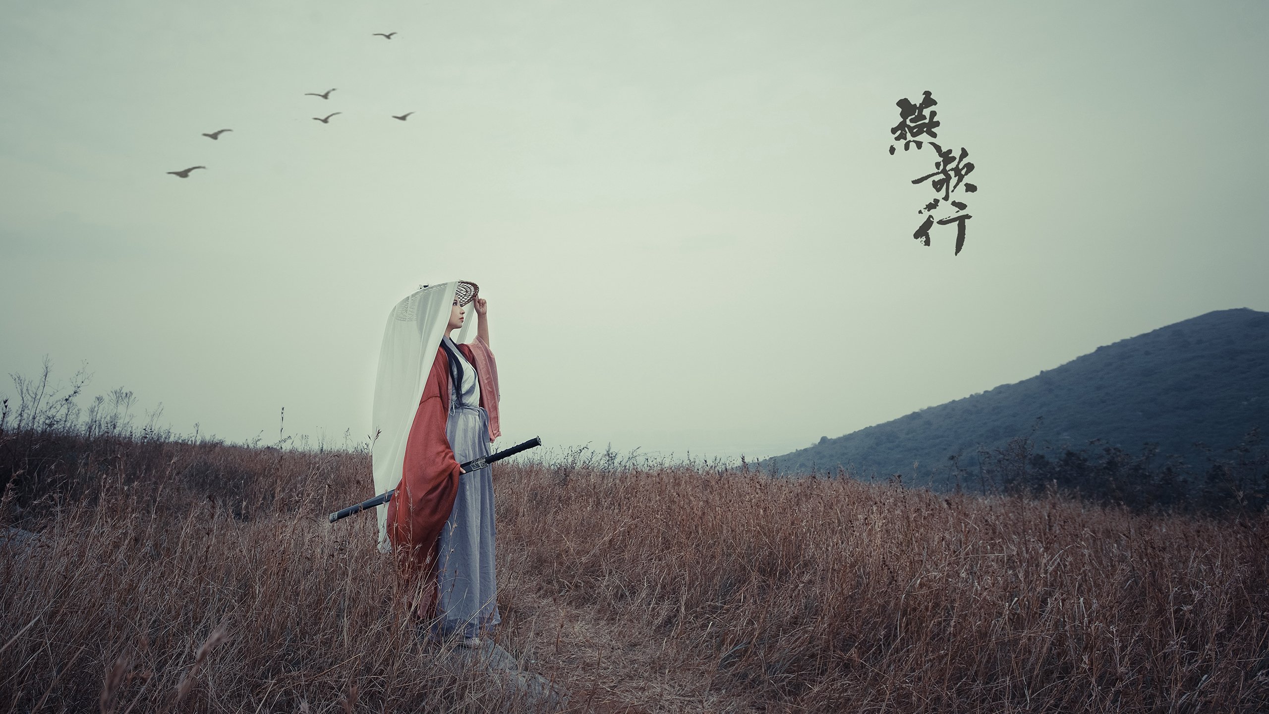 爱德华兹末节狂飙,太阳队以带走战术终结广东队