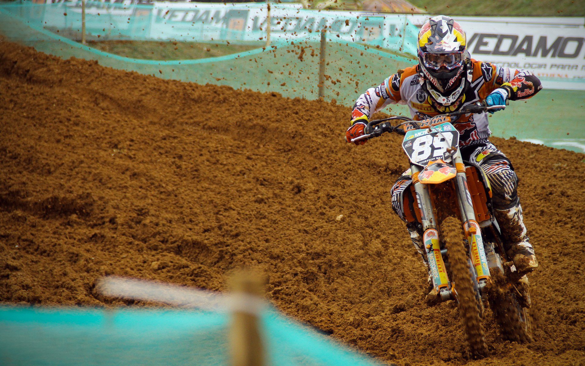 欧冠半决赛焦点战，老鹰展翅，稳稳拿下凯尔特人